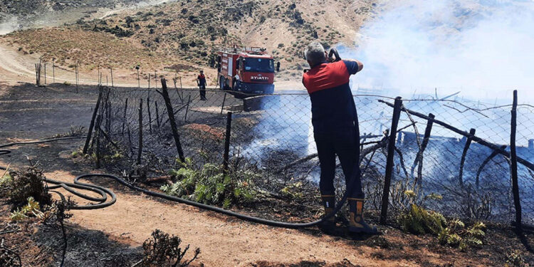 Ağılda çıkan yangında 150 oğlak öldü
