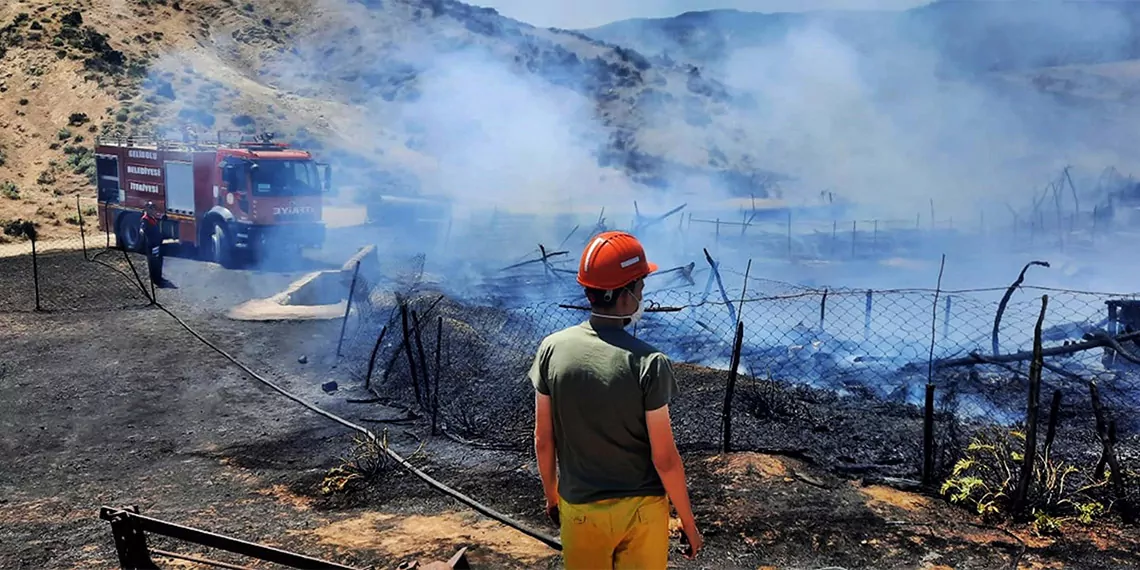 Ağılda çıkan yangında 150 oğlak öldü