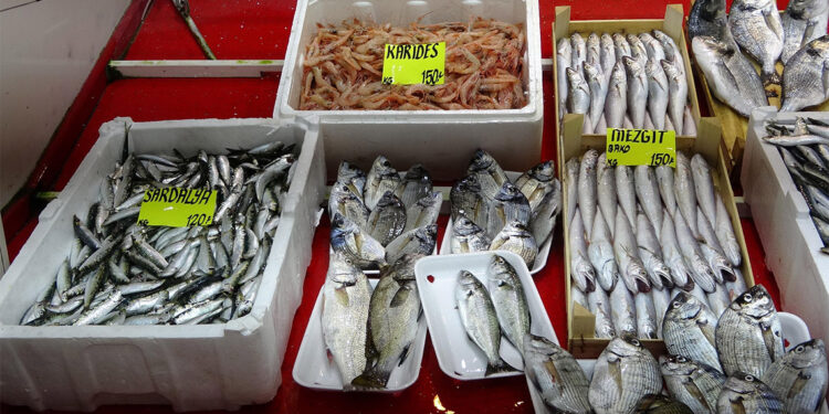 Sardalyanın kilosu 120 TL ile 200 TL arasında satılıyor