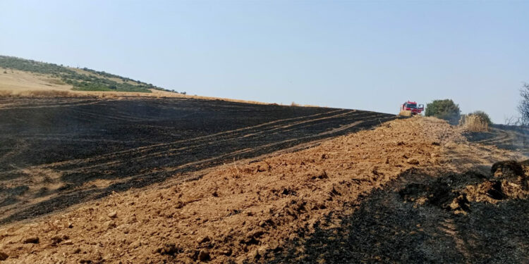 Çanakkale'de tarım arazisinde yangın