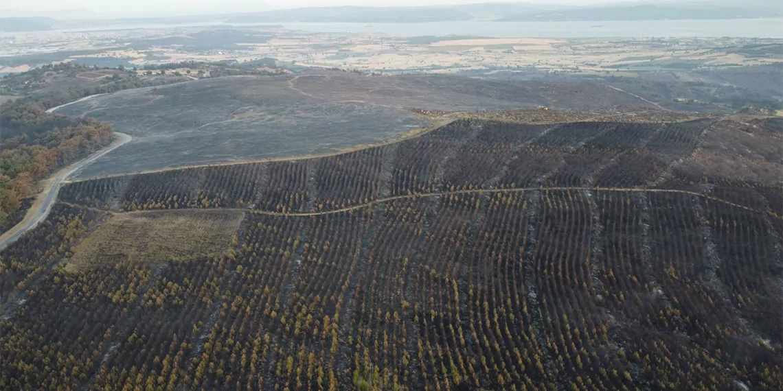 Çanakkale'deki orman yangını 52 saat sonra söndürüldü