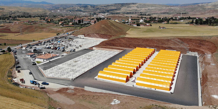 Çankırı'da şap hastalığı; Hayvan pazarı kapatıldı