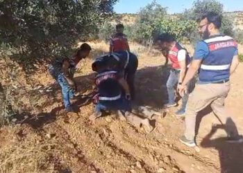 Cinayet şüphelisi saklandığı fıstık bahçesinde yakalandı