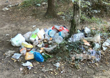 Belgrad Ormanı'ndan 18 ton çöp toplandı