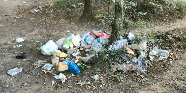 Belgrad ormanı'ndan 18 ton çöp toplandı