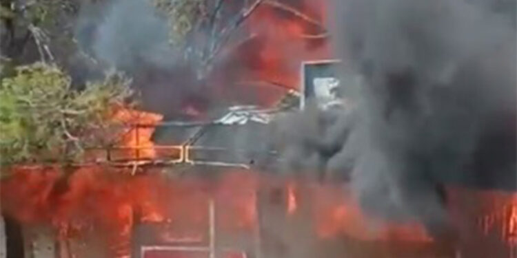 Çukurova Üniversitesi yerleşkesinde yangın