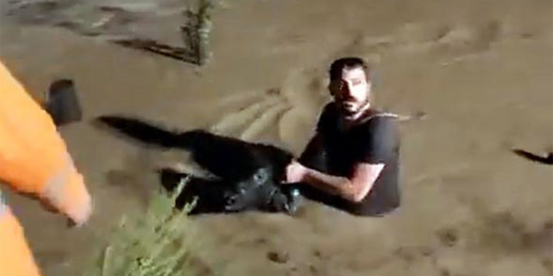 Düzce'de sağanak; dereler taştı, 6 kişi mahsur kaldı