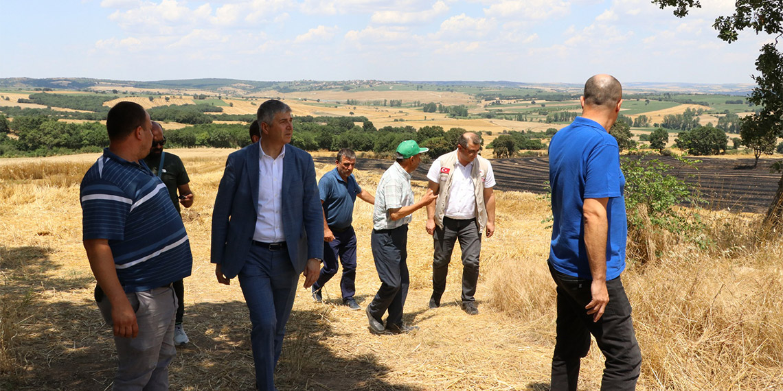 Keşan'da çıkan yangında 2 bin 330 dekar alanda zarar oluştu