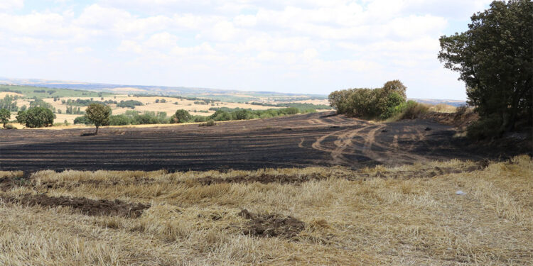 Keşan'da çıkan yangında 2 bin 330 dekar alanda zarar oluştu