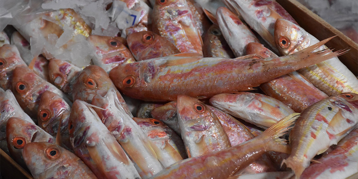 İzmir Balıkçı İşadamları Derneği Başkanı Mehmet Şahin Çakan, 15 Temmuz itibarıyla Ege'de izin verilen trol avcılığı ile balık fiyatlarının düştüğünü söyledi.