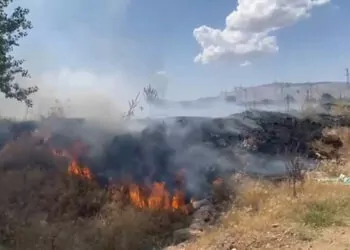 Elazığ'da örtü yangını; 100 hektar arazide zarar oluştu