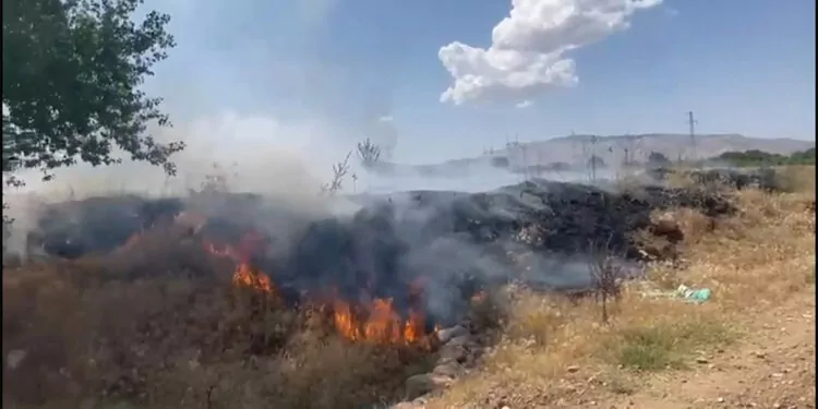 Elazığ'da örtü yangını; 100 hektar arazide zarar oluştu