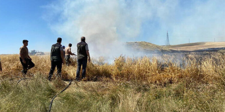 Eskişehir'de 30 dönüm arpa tarlası kül oldu