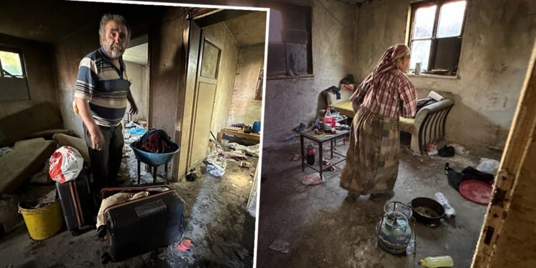 Ankaralı hayvansever çift otele yerleştirildi