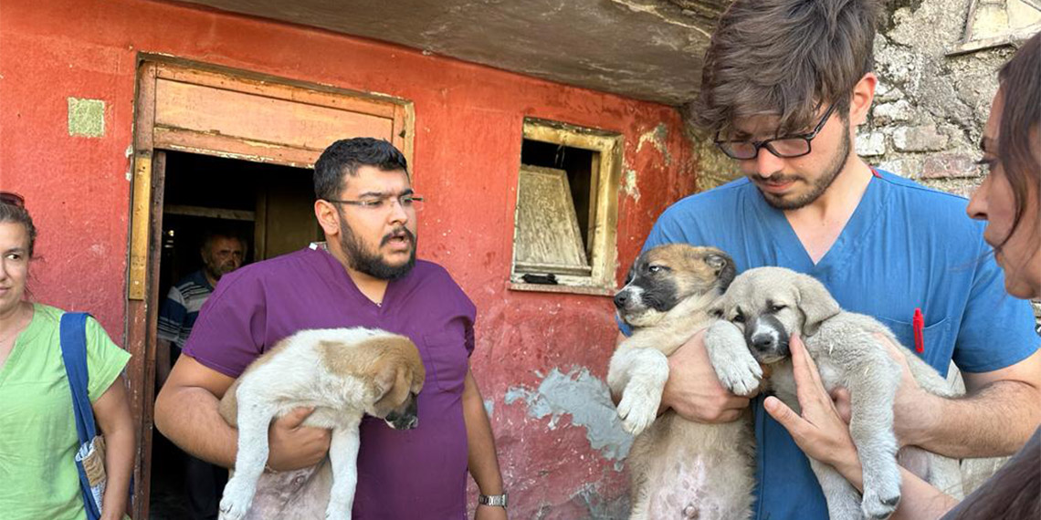 Ankaralı hayvansever çift otele yerleştirildi