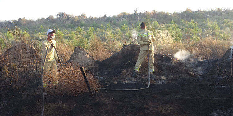 Ormana sıçrayan yangın 37 saattir sürüyor
