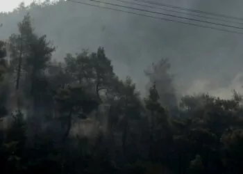 Antakya'da ormanda çıkan yangın söndürüldü