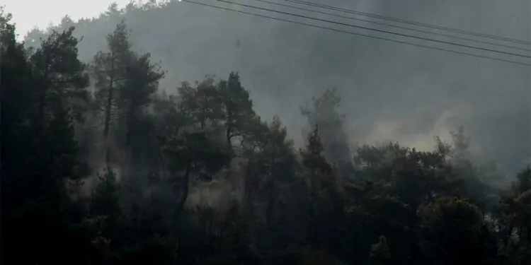 Antakya'da ormanda çıkan yangın söndürüldü