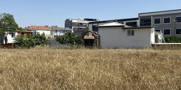 İzmir'de botanik turizmi rotası oluşturulabilir