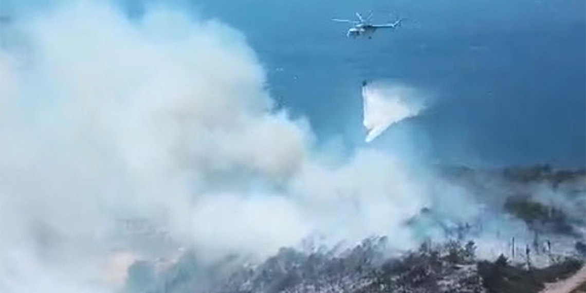 Aliağa ve Menderes'te orman yangını