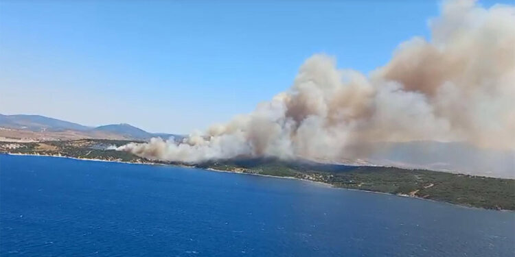 Aliağa ve Menderes'te orman yangını