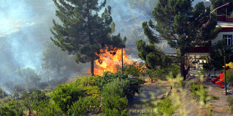 Kazma bağları mevkisinde orman yangını