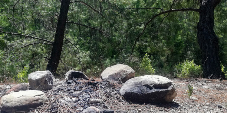 Yasağa rağmen ormanda ateş yaktılar
