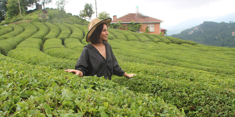Gençlerimiz çay tarımından çok uzak