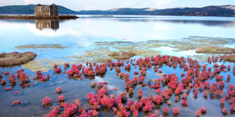 El Nino etkisiyle bu yıl kuraklık ve beklenmeyen yağışlar görülebilir