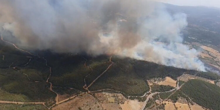Kınık'ta ormanda yangın çıktı