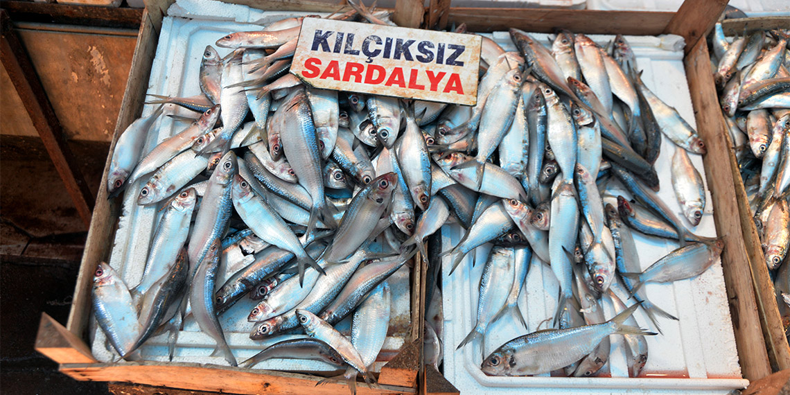 Mersin Üniversitesi Su Ürünleri Fakültesi İşleme Teknolojisi Anabilim Dalı Öğretim Üyesi Prof. Dr. Deniz Ayas, ‘Kızıldeniz'den gelen tropikal balıklar, Akdeniz'in damak tadını değiştirdi’ dedi.