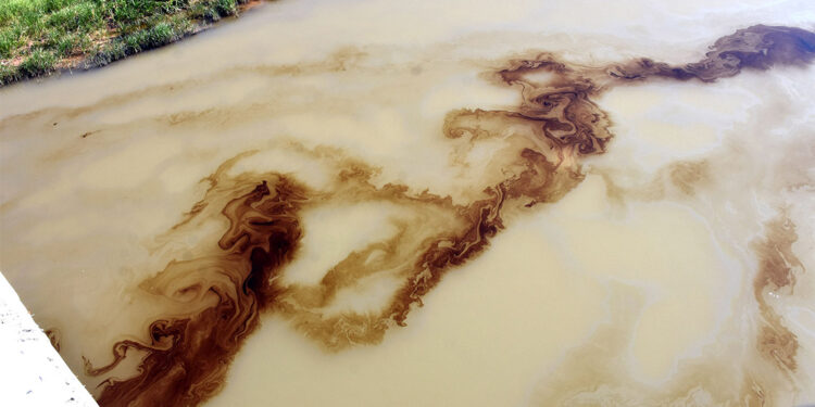 Kızılırmak Nehri yüzeyinde korkutan görüntü