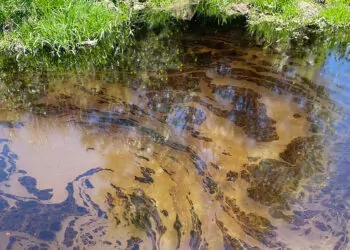 Kızılırmak nehri'ndeki yakıt benzeri kirliliğin nedeni inceleniyor