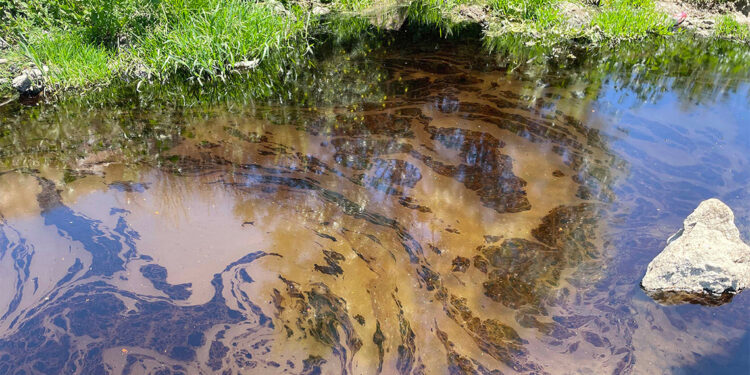 Kızılırmak Nehri'ndeki yakıt benzeri kirliliğin nedeni inceleniyor