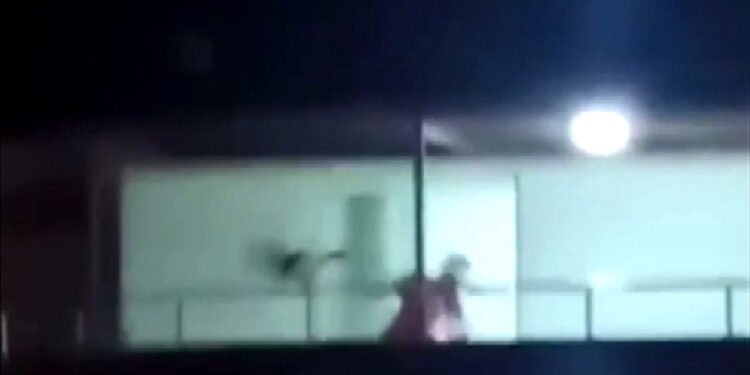 köpeğini döven sahibine 4 bin 554 TL para cezası