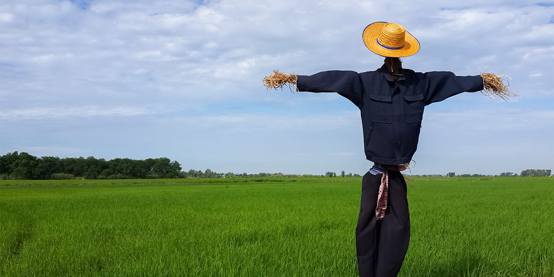En iyi arkadaşım bir korkuluk (Bölüm 2)