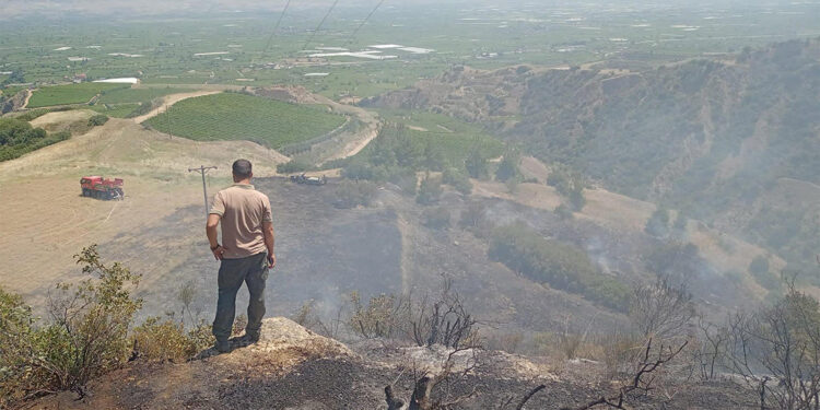 Manisa'da maki yangını