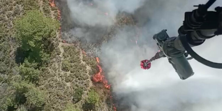 Marmaris'te orman yangını kontrol altına alındı