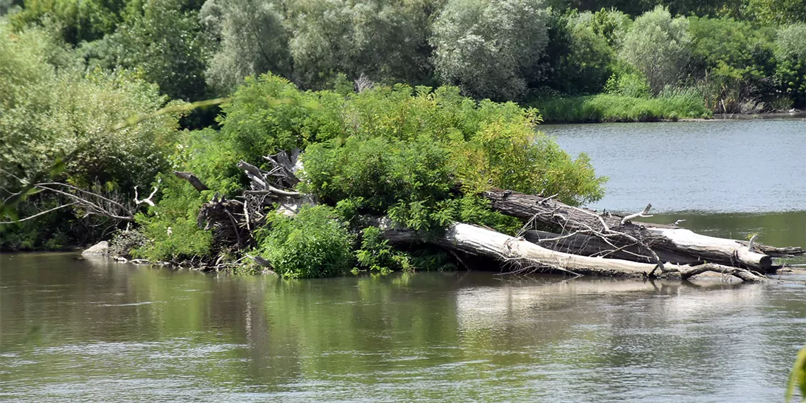 Meriç nehri'ndeki su son 5 yılın en düşük seviyesinde