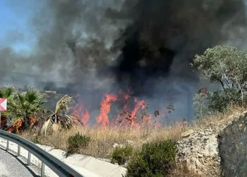 Milas'ta makilik yangını ormana sıçradı
