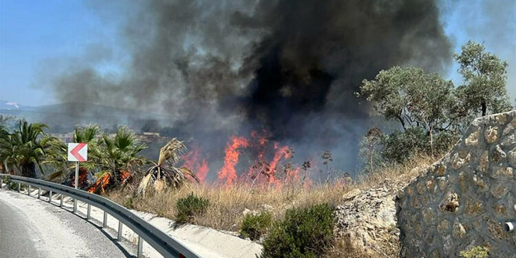 Milas'ta makilik yangını ormana sıçradı