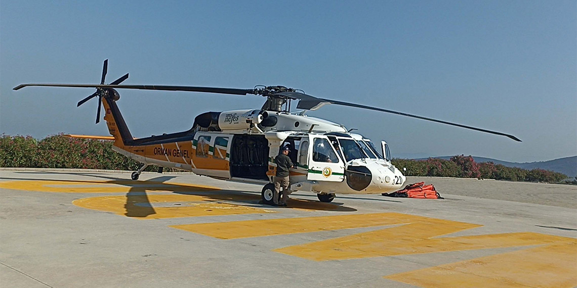 Tarım ve Orman Bakan Yardımcısı Veysel Tiryaki, "Milas'taki orman yangınında 170 hektar alan yandı, Nefes 72 sorti yaptı" dedi.