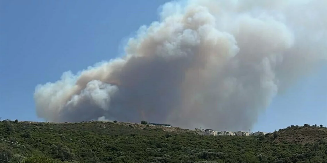 Muğla'da otlukta çıkan yangın, ormana sıçradı