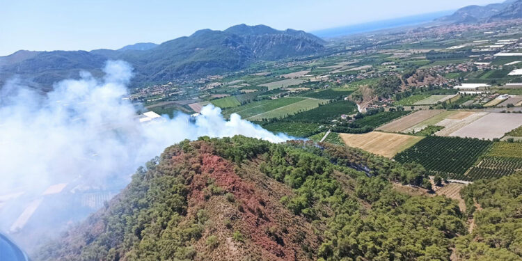 Ortaca'da orman yangını