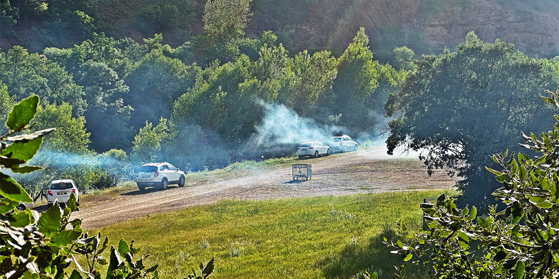 Tunceli Valiliği, 31 Ekim’e kadar kent sınırları içerisindeki ormanlık alanlarda piknik ile kamp ve çadır kurmayı yasaklamasına rağmen, Türkiye’nin bitki ve yaban hayatı çeşitliliği bakımından en zengin milli parklarından olan Munzur Vadisi Milli Parkı'nda yasaklara uyulmuyor.