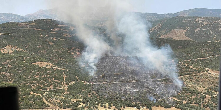 Ödemiş'te orman yangını
