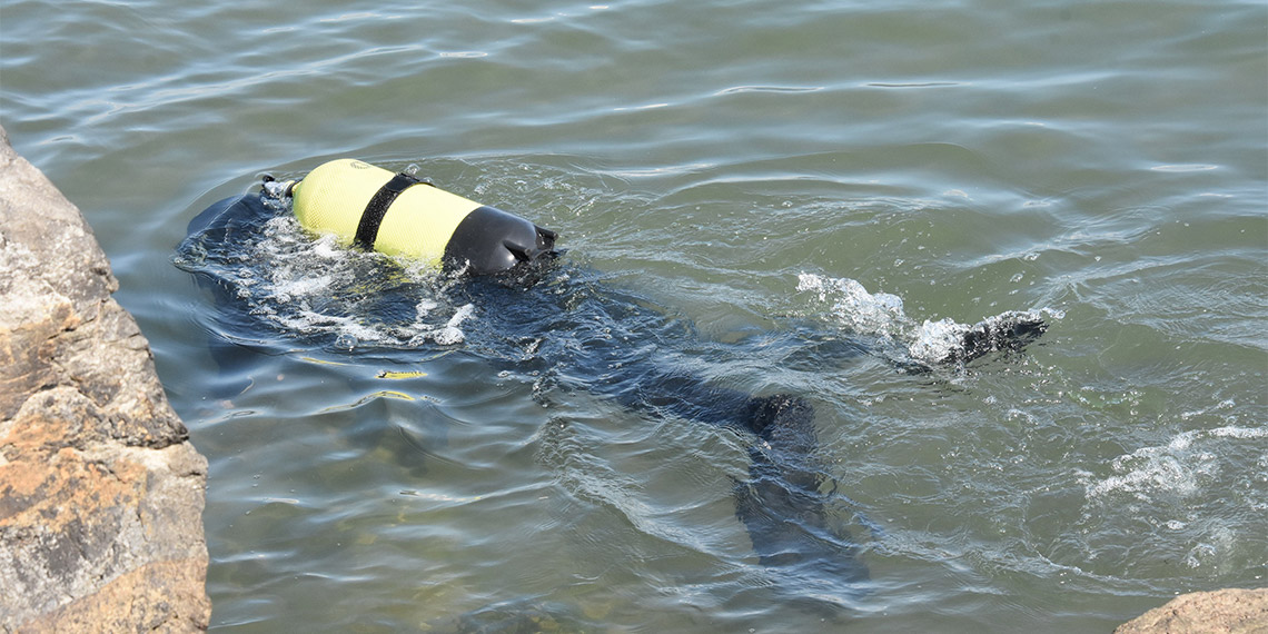 Ordu'da evinin yanındaki kayalıkta hayvanları için yaprak keserken dengesini kaybedip, 10 metre yüksekten dereye düşen kadın Naciye Yılmaz (55) için başlatılan arama çalışması 8’inci gününde de devam ediyor.