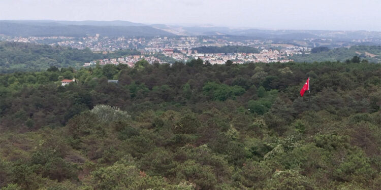 Yasaklar yangınları yüzde 70 azalttı