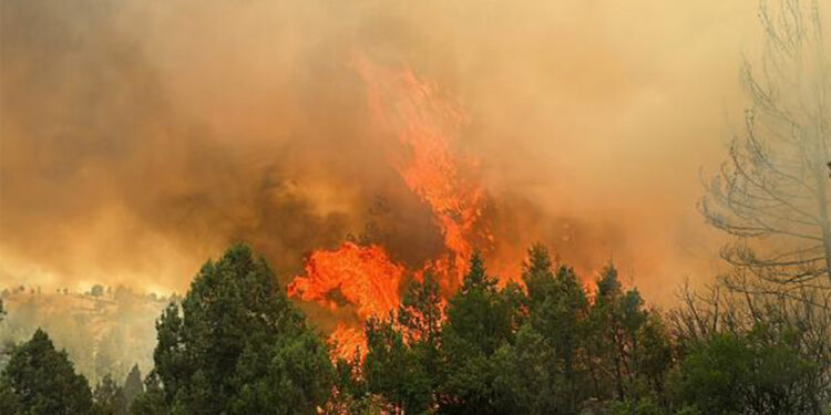 Ateş kullanımını sınırlandırma uyarısı
