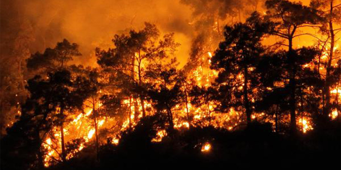 Orman Genel Müdürü Bekir Karacabey, "Açıklanan hava tahmin raporlarına göre bir müddet daha yüksek sıcaklıkların devam etmesi bekleniyor. Vatandaşlarımızın mecbur kalmadıkça orman ve ağaçlık alanları kullanmamalarını özellikle talep ediyoruz. Hatta bu sıcak günlerde halkımızdan, mümkün mertebe ateş kullanımını sınırlandırmalarını talep ediyoruz" dedi.